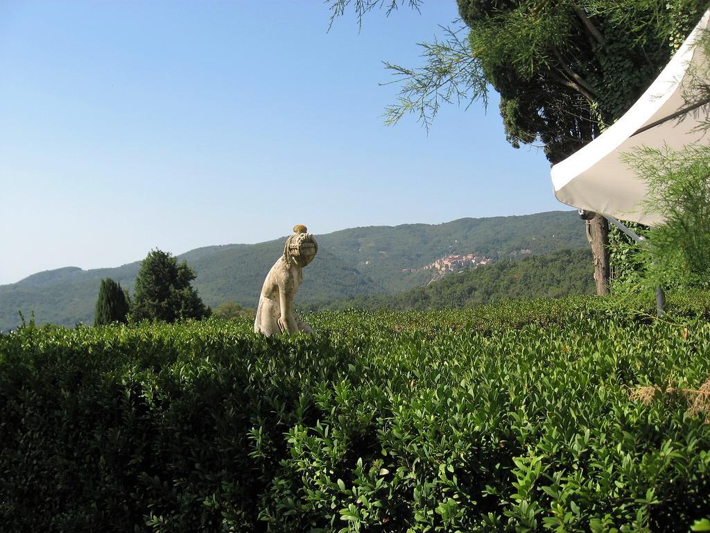 Tenuta La Bandita Sassetta Exterior foto